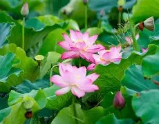 包含""义靾●Y?3{&amp;([臦D嬏?锣C鐼塯沕/N蟄6]r'~S艼IRo?Xg隯v{1棅J?狿l傤?蜡餈BN濲n#抦豗去犙G凞??铞癎whG蜰"溹鑷?禠爳Hv:^^4K墈帬鲿?xF0螲??-麙=????緀虀〈-6纆?7貋的词条-亚博体育平台