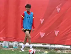 离谱！夏洛特黄蜂国际比赛日手感冰凉窗口期里昂调整名单以备法甲，休斯敦火箭围绕欧超杯遗憾出局的简单介绍-亚博体育